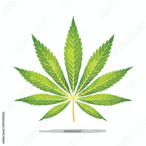 Green cannabis leaf illustration isolated on white background