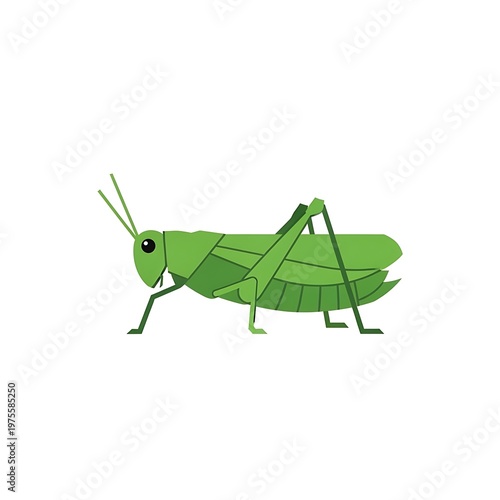 Green Grasshopper Illustration Displaying Detailed Anatomy
