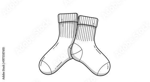 Pair of simple white cotton socks with ribbed tops shown in a clean line art style with subtle shading for everyday apparel use.