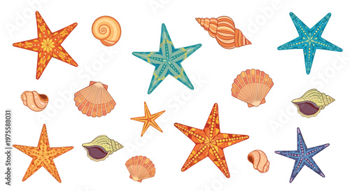 Colorful seashells and starfish illustrations with various geometric patterns and textures in shades of orange, blue, and pink.