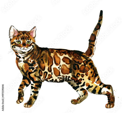 Quadro em tela Bengal cat walking