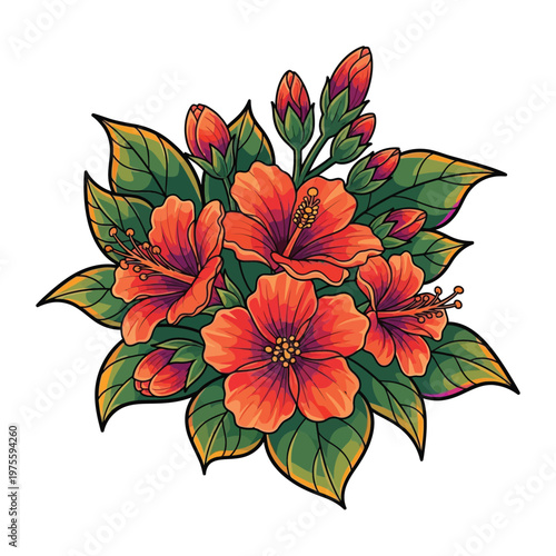 Vibrant orange hibiscus flowers with green leaves illustration