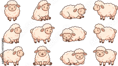 Cute, sheep, character, set, with, fluffy, lamb, in, sitting, standing, and, sleeping, poses, isolated, vector, illustration