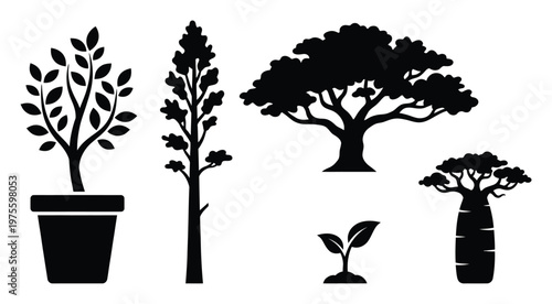 Diverse collection of plant and tree silhouettes representing different growth stages and botanical forms ideal for nature conservation and garden landscape projects