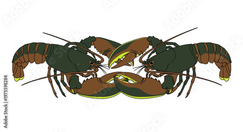 Two mirrored lobsters with dark green bodies and brown claws facing each other on a white background, creating a symmetrical design.