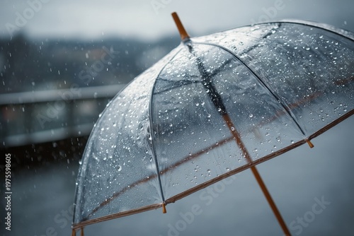 Close up of a transparent umbrella with water droplets on a rainy day with a blurred background and a wooden handle