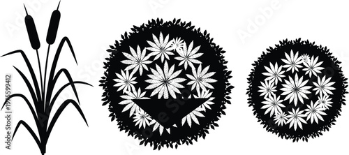 WebCollection of aquatic plant silhouettes including cattail bullrush and top view landscape bushes with textured leaves for garden design cad drawing flat vector illustration