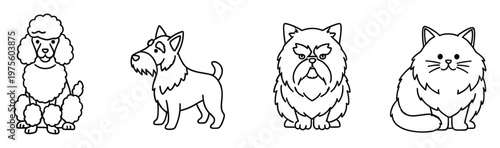 Discover charming simple line art of beloved dog and cat breeds like a poodle, terrier, and fluffy felines, perfect for petthemed products, veterinary clinic branding, or engaging