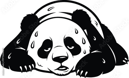 Exhausted panda sweating lying down tiredness with worn out