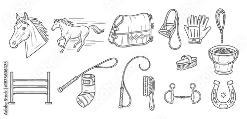 Comprehensive collection of equestrian equipment and horserelated items perfect for educational materials, stable management guides, and veterinary content