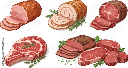 Meat Cuts Collection with Ham, Roast, Steak, and Sliced Beef Pieces Detailed Butcher Food Illustration for Cooking and Restaurant Menu Vector