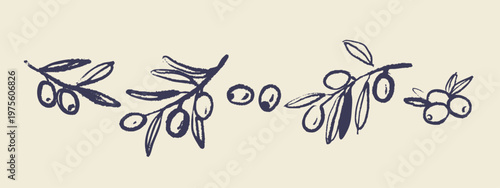 Vintage sketch olive branches set. Extra virgin, farm product, Mediterranean cuisine, cosmetic, organic farm, packaging label. Crayon hand drawn vector isolated illustration.
