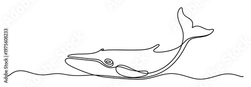 Minimalist continuous line drawing depicting a majestic whale gracefully breaching the ocean surface perfect for environmental awareness campaigns and marine life educational materials