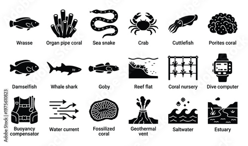 Comprehensive set of aquatic and marine symbols representing ocean creatures, scuba diving equipment, and underwater ecosystems, perfect for educational infographics, presentations, and