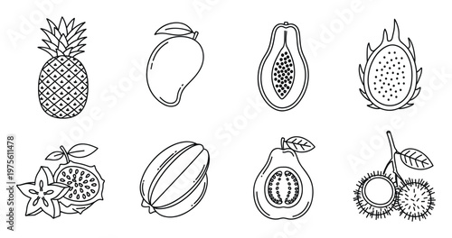 Black outline tropical fruits collection featuring pineapple, mango, papaya, dragon fruit, star fruit, guava, and rambutan, perfect for healthy food branding and wellness lifestyle designs