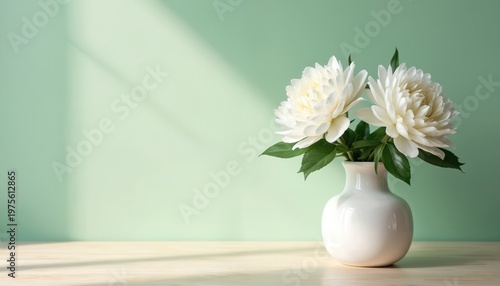 Two white dahlia flowers in a ceramic vase on a wooden table. Soft light and shadows fall across the mint green background. Peaceful home decor and botanical arrangement.