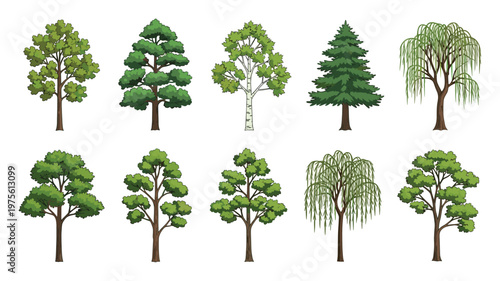 Diverse collection of various tree types including deciduous and evergreen trees showcasing natural foliage and sturdy trunks suitable for environmental educational resources and landscape