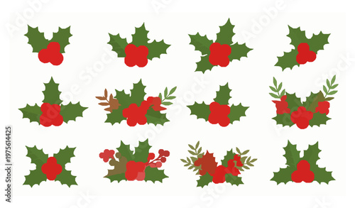 Holly berry icons set Christmas decoration vector illustration