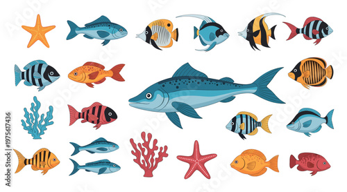 Vibrant marine life collection featuring diverse tropical fish and sea creatures like starfish and coral, ideal for educational content, aquatic themes, and childrens media resources.