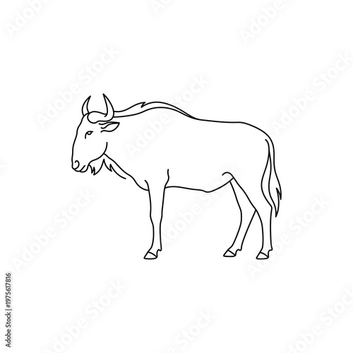 Line drawing of a bull animal.