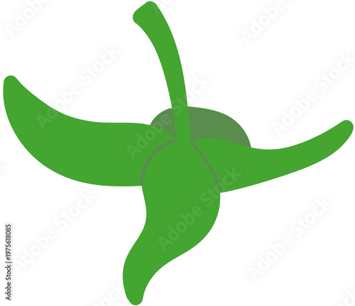 초록색 꼭지 모양