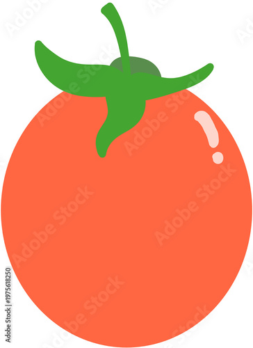 토마토 일러스트