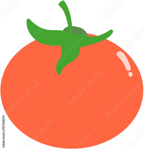 토마토 일러스트