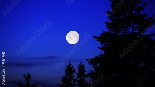 Full Moon, stars and planets above landscape silhouettes.