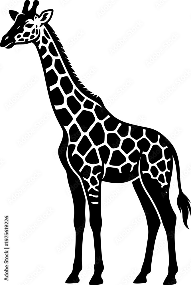 Obraz premium Animals Silhouette