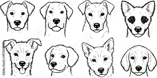 Dogs charcoal sketch drawings set
