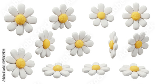 3D multi angle white daisy flower asset sheet