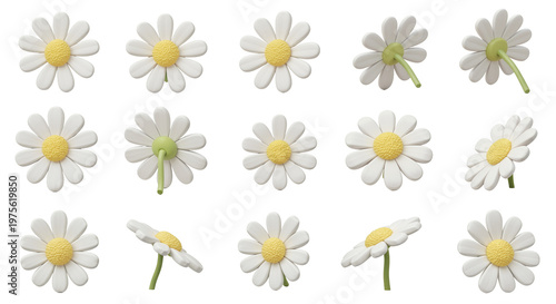 3D multi angle white daisy flower asset sheet
