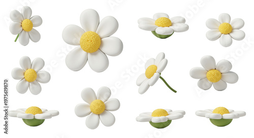 3D multi angle white daisy flower asset sheet