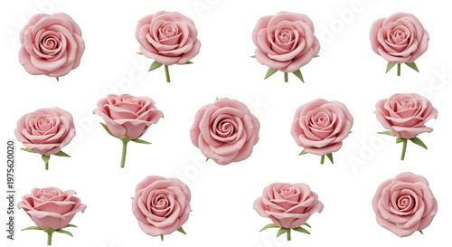 3D multi angle pink rose flower asset sheet