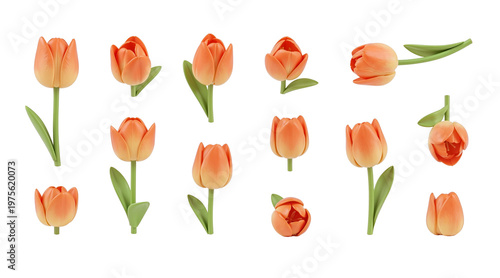 3D multi angle orange tulip flower asset sheet