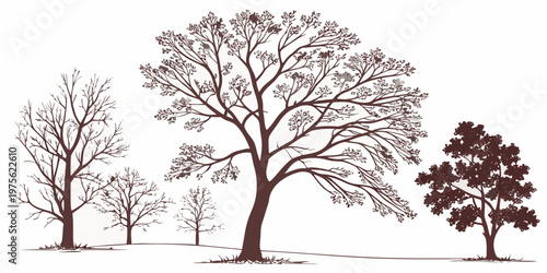 A large weeping willow tree with long drooping branches casting shade on the ground