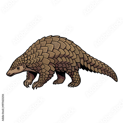 Walking pangolin vector illustration isolated on white