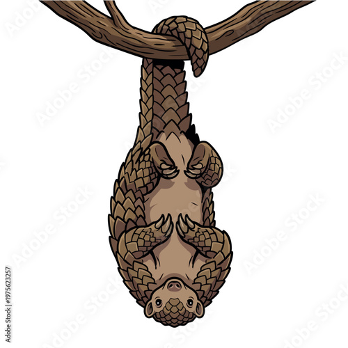 Pangolin hanging upside down from tree branch vector