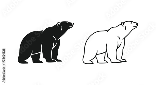 Black vs White Polar Bear Unique Bear Species Comparison Vector