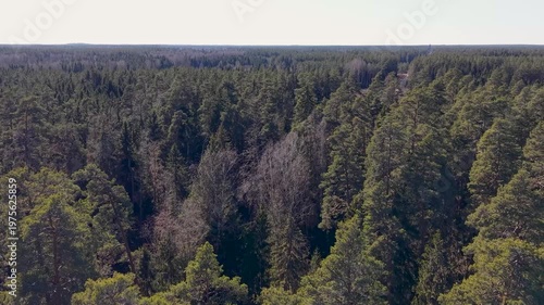 Aerial view of dense forest transitioning to a rural landscape with a house and road visible, showcasing the natural beauty of the region in a serene environment