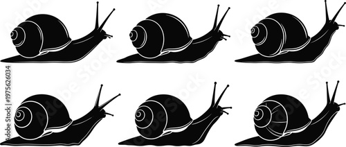 Set of snail silhouettes in different positions isolated on white background, gastropod collection, crawling mollusk, nature illustration, slow movement concept, detailed shell shapes