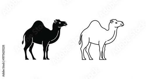 Dromedary vs Bactrian Camel Comparison Guide Vector