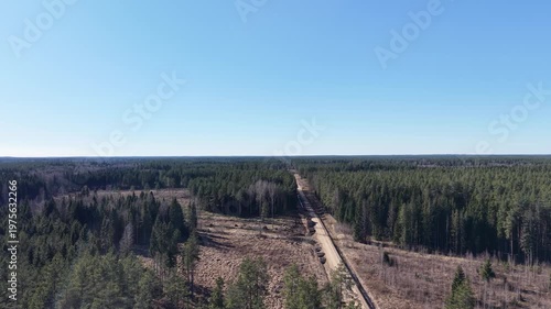 Aerial view of a winding dirt road cutting through dense evergreen forest under a clear blue sky, showcasing the natural landscape of a remote area