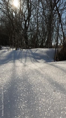 Ukrainian landscapes 4k. on a walk in the forest. melting snow in the forest. melting snow in the spring