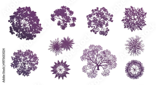 Tree Top View Vector Set – Landscape Planning Symbols Minimal Architectural Site Plan Illustration Purple Black Gradient