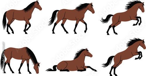 Realistic Horse Movement Character Set Featuring Walking Running Jumping Grazing and Resting Poses with Detailed Equine Illustration Collection