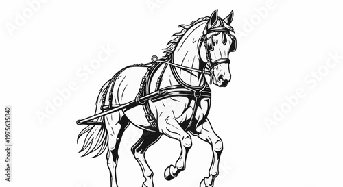 Black and white line drawing of a harness-equipped horse in motion