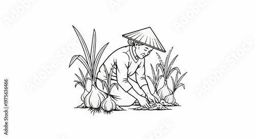Farmer tending to large onions in a field