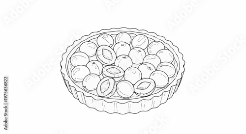 Detailed outline sketch of a round fruit tart filled with whole and halved plums