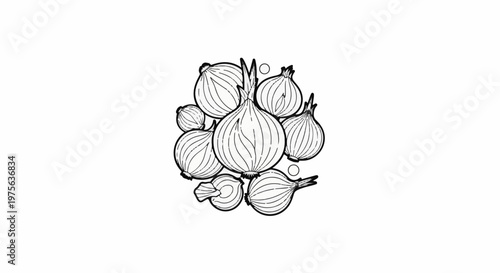 Line art illustration of a cluster of round, layered onions, some halved